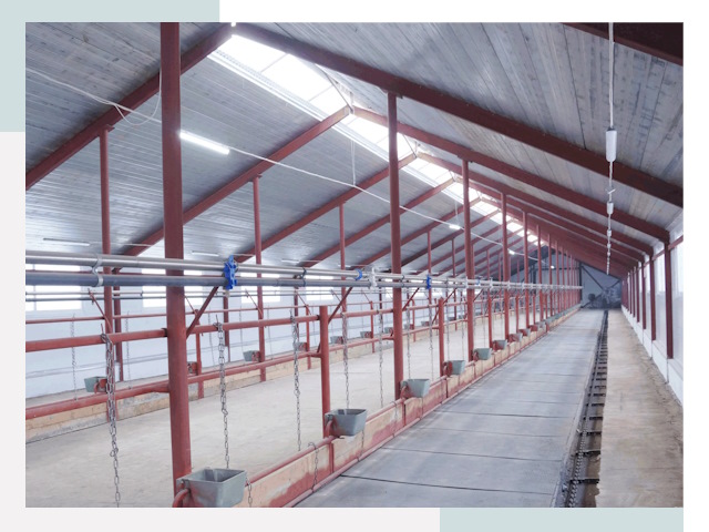 Строительство коровников в Пушкине от 622 руб.