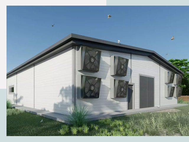 Строительство птичников в Пушкине