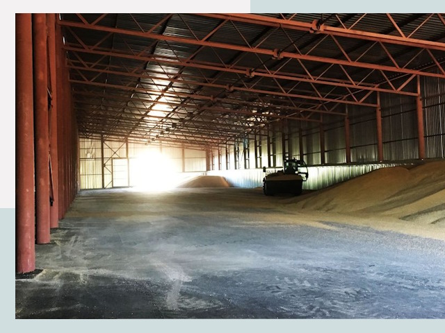 Строительство зернохранилищ в Пушкине