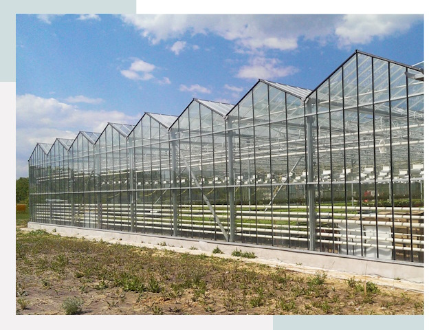 Строительство теплиц в Пушкино от 622 руб. за м²