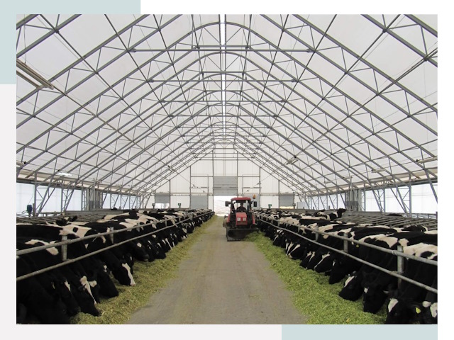 Тентовые коровники в Пушкине от 622 руб. - Надежно и доступно